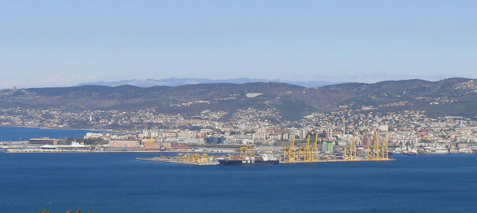 Port of Trieste: denounced grounds of nullity of the tendering procedure for tug services