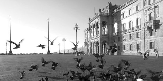 The Palace of the Government in Trieste.